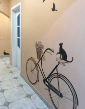Картинка Фотографии