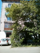 Картинка Фотографии